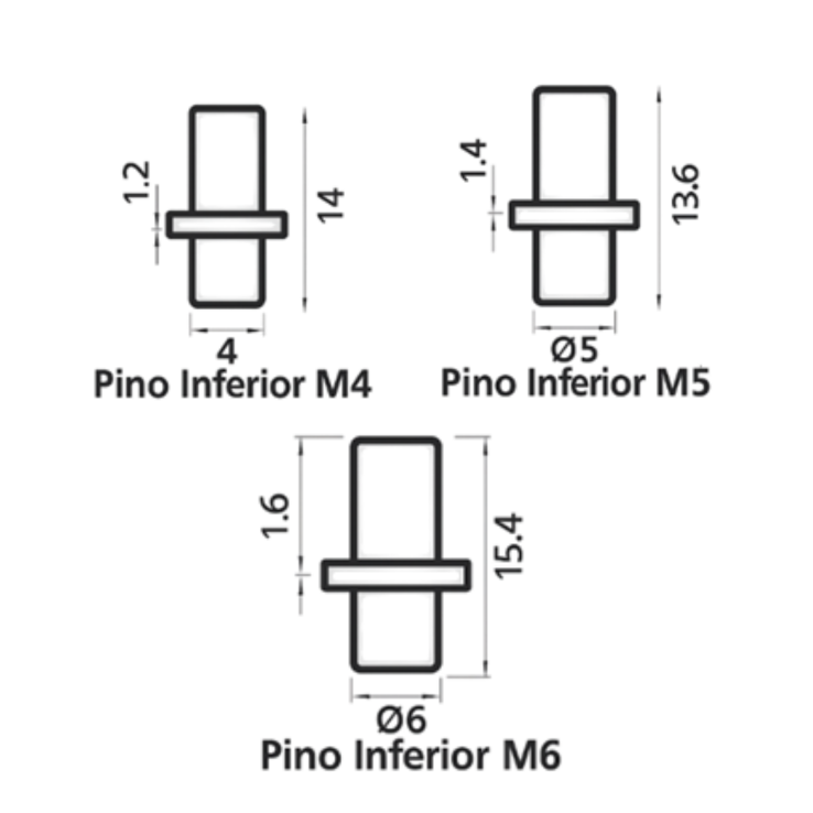 Pino Inferior de Porta